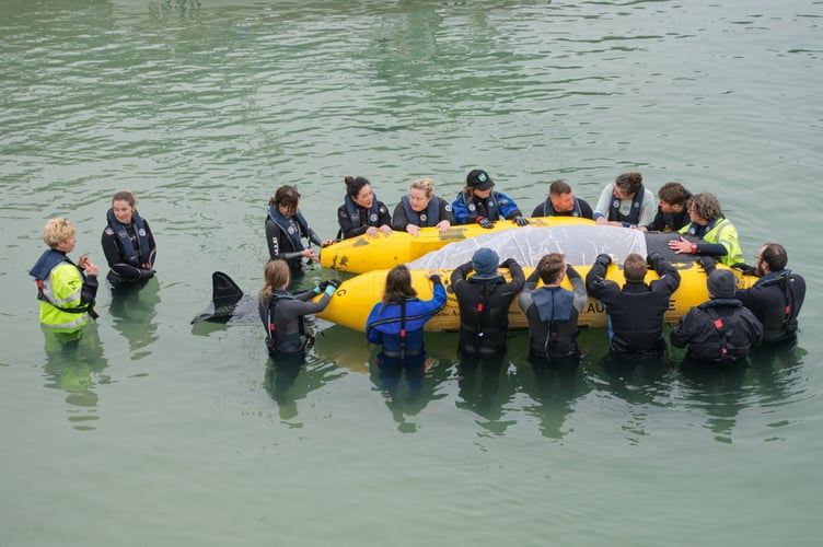 THIS PICTURE: BDMLR trainee medics refloat a life-sized rubber whale using the charity's specialist whale floatation system. --- SEE SWNS STORY SWNAwhale --- Incredible scenes show a fake whale being used for rescue training. A specially designed whale rescue floatation system was used to refloat a stranded whale in Newquay, Cornwall recently. The whale, a life-sized and weight rubber model of a pilot whale, is used by British Divers Marine Life Rescue (BDMLR) to train members of the public to become Marine Mammal Medics, to help real whales and dolphins in need of assistance around the UK.