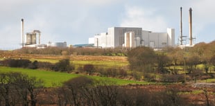 Cornwall dairy suspends milk collection