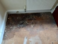 People sleeping on bare floors in Cornish properties