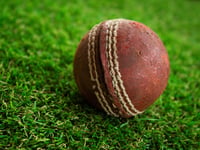 Bursaries available for kids' cricket days
