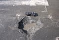Cornwall Council is one of the best authorities for repairing potholes