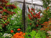 Medal success at Chelsea Flower Show for Burncoose garden