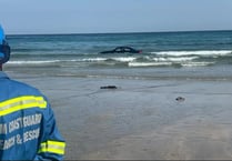 VIDEO: A convertible BMW is washed out to sea after parking on a beach