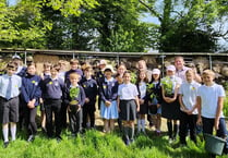 School makes tree planting trip to Heligan