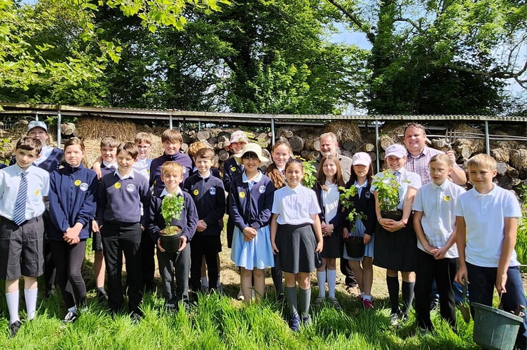 The tree planting