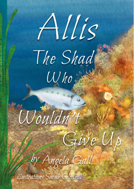 The new book following the journey of a rare allis shad fish on the River Tamar