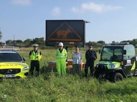 Electronic signs on A30 to warn motorists of livestock on the road 