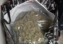 Police find large quantity of suspected cannabis at Cornish property