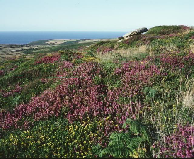 West Penwith Moors and Downs given new protected status 