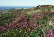 West Penwith Moors and Downs given new protected status 