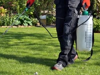 Plans to spray  streets with a controversial herbicide have been criticised.