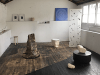 New art exhibition unveiled in Newquay