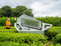 Tregothnan Tea brews up Duke of Cornwall award win