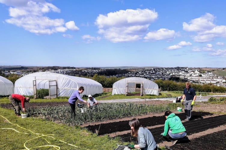 The Camel CSA (Community Supported Agriculture) at Treraven Farm, Wadebridge
