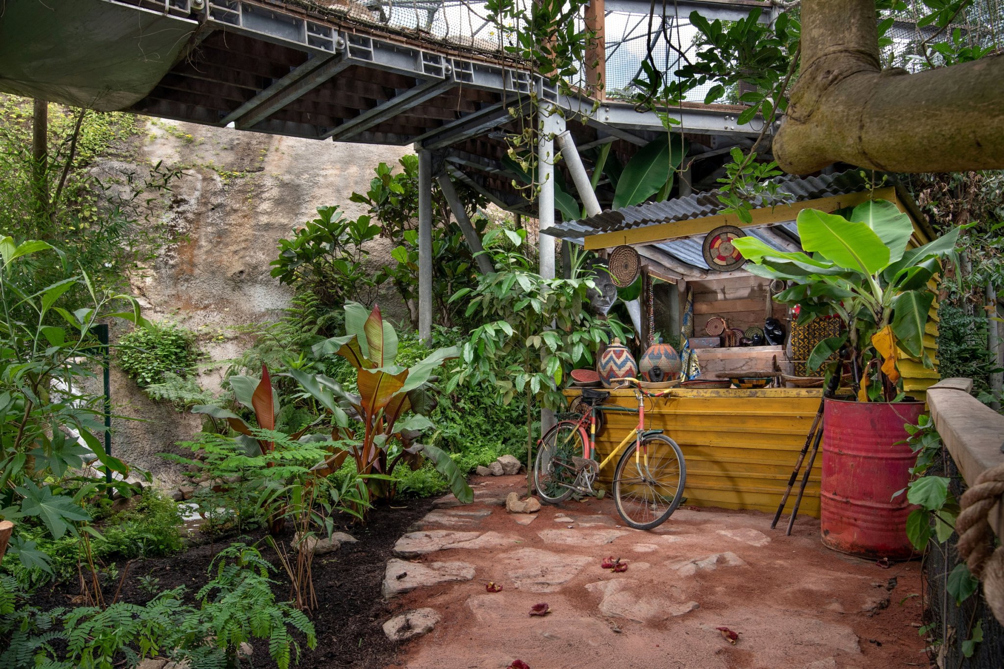 Chelsea garden is now at Eden Project