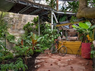 Chelsea garden is now at Eden Project