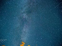 The August Night Sky with Brian Sheen