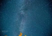 The August Night Sky with Brian Sheen