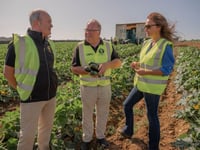 Cornish farm donates surplus produce to FareShare charity