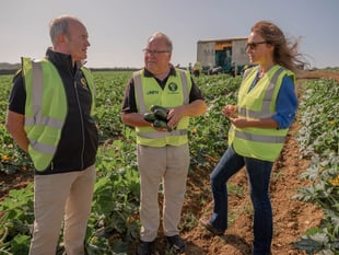 Cornish farm donates surplus produce to FareShare charity