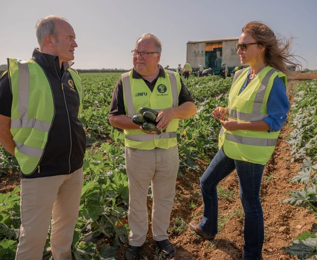 Cornish farm donates surplus produce to FareShare charity