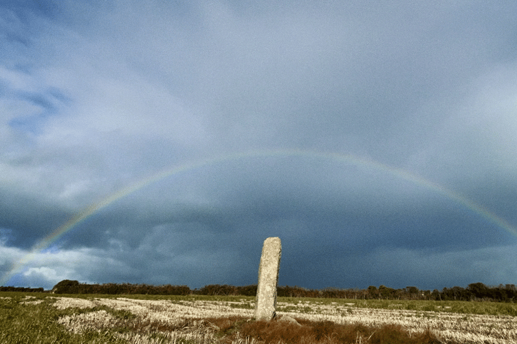 The story of the Cornish field