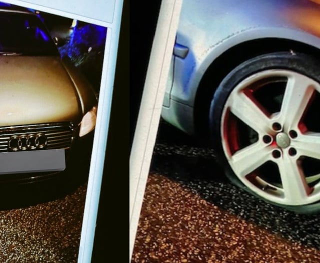 Liskeard man in custody following suspected vehicle theft in St Austell 