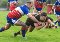 Captain Whitton agrees new deal with Choughs