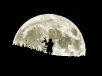 Halloween 2023: More witches living in Cornwall