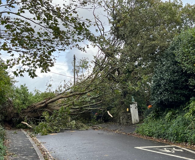 Clean up work following Storm Ciaran continues 