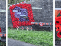 Crocheted poppies on display at Trewoon