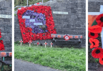Crocheted poppies on display at Trewoon