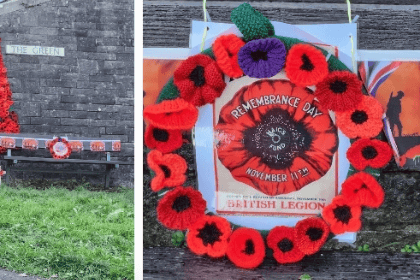 Poppies display in Trewoon