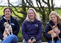 Cornwall-based animal charity handed a boost
