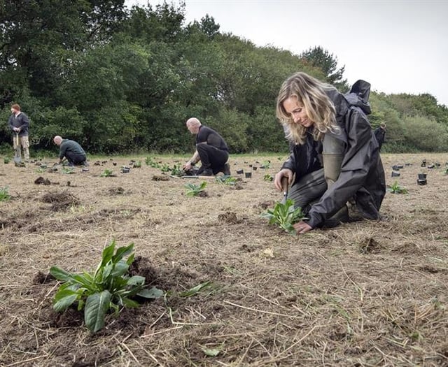 Eden’s plan to help tackle biodiversity