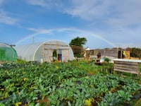 Goonown Growers receive funding boost for garden scheme