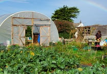Goonown Growers receive funding boost for garden scheme