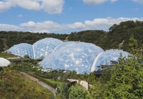 Eden Project announces new nature-themed group activities