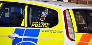 Arrest after vandalism