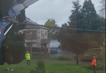 Adorable video shows boy's reaction to Saltash tree installation