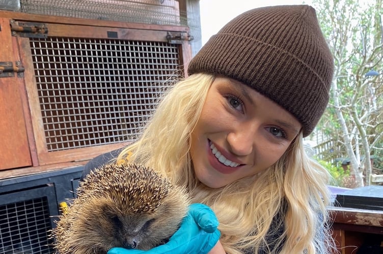 Prickles & Paws patron Lucie Dolan with a rescued hedgehog