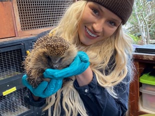 A hedgehog charity has issued an urgent plea for donations 