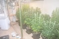Cocaine and cannabis found in Camborne underground container 