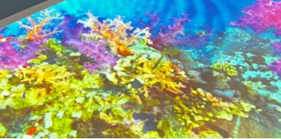 Scanning suite given a fun and bright make-over