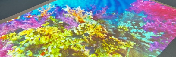 Scanning suite given a fun and bright make-over