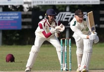 Callington wicketkeeper Wilkinson joins champions Wadebridge