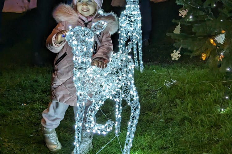 Tregony lights
