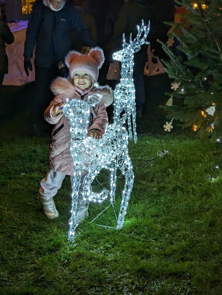 Tregony lights
