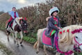 Christmas fun ride for pony charity