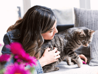 Charity looking for cat volunteer fosterers